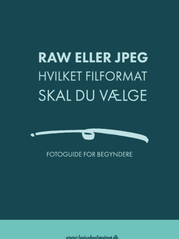 RAW ELLER JPEG - HVILKET FILFORMAT SKAL DU VÆLGE